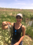 Longmont, bass fishing, Colorado, shore fishing, Brad Petersen Outdoors